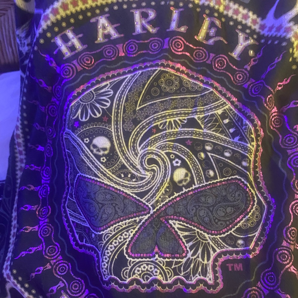 Very cool Harley shirt!